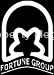 Fortune Group logo